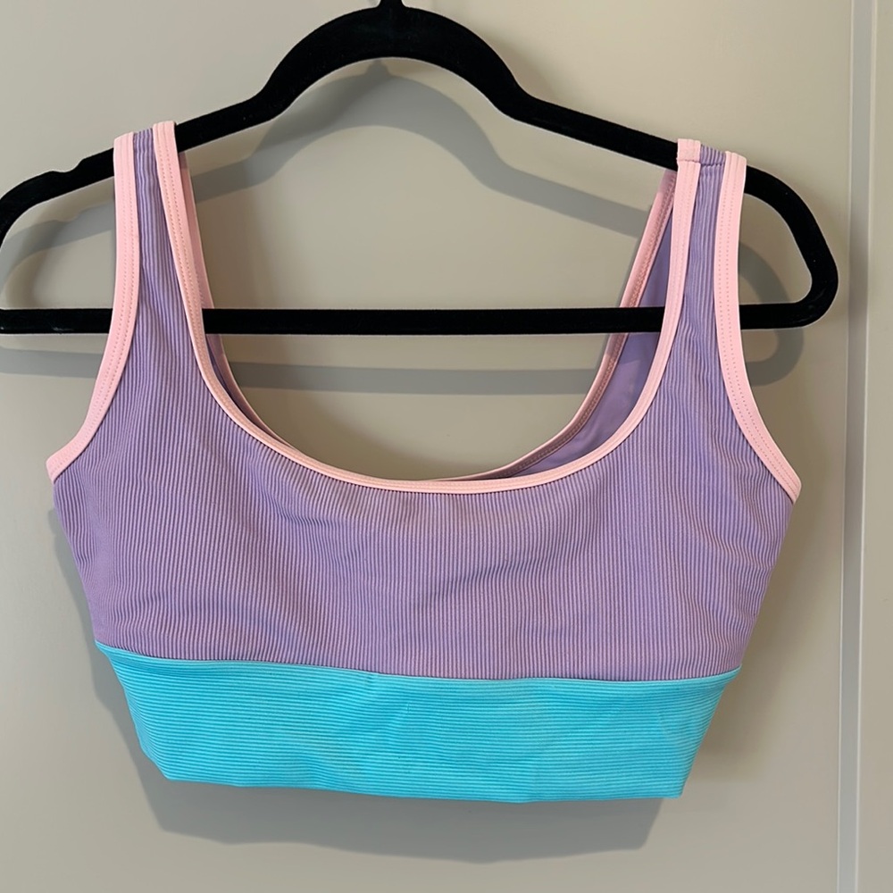 LainSnow Color-Blocked Purple and Blue Bikini Top